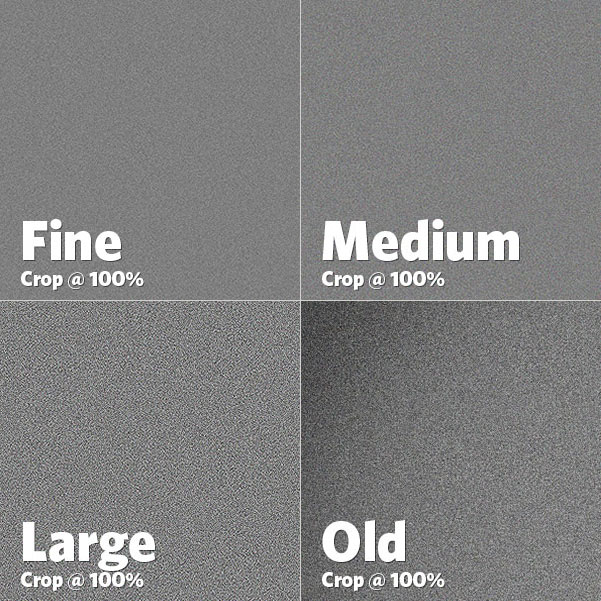 3 + 1 film grains styles cine look