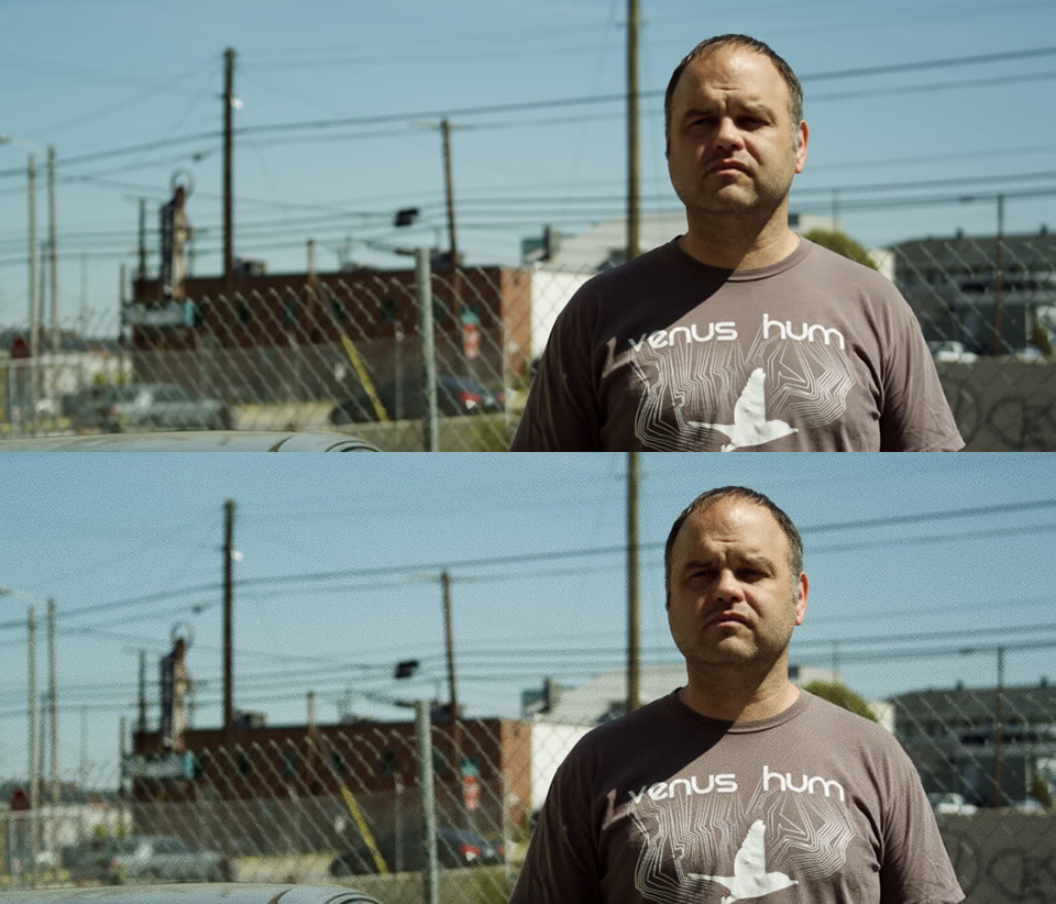 Film grain in situ 1