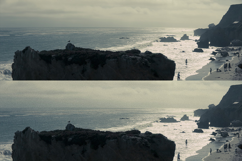 Film grain in situ 2